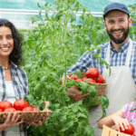Conselho eleva limites de financiamento para a agricultura familiar