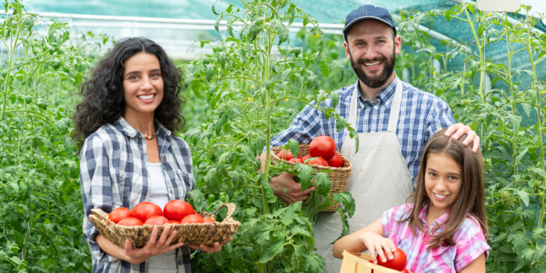Conselho eleva limites de financiamento para a agricultura familiar
