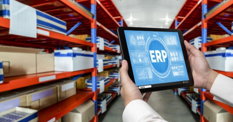 “Meias divertidas: como encontrar modelos de erp exclusivos”